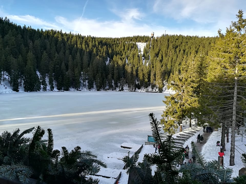 Ausblick Berghotel Mummelsee