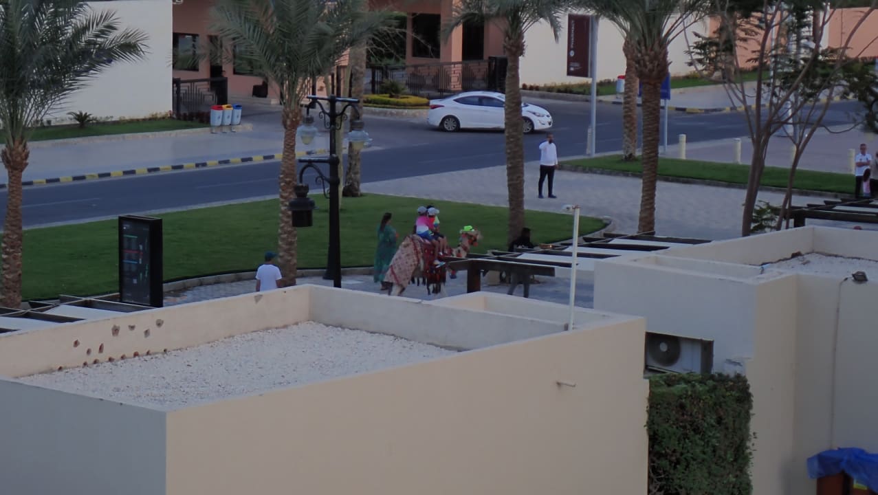 Ausblick Steigenberger Aqua Magic