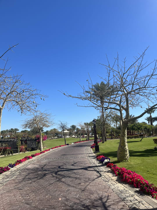 Gartenanlage Steigenberger Aqua Magic