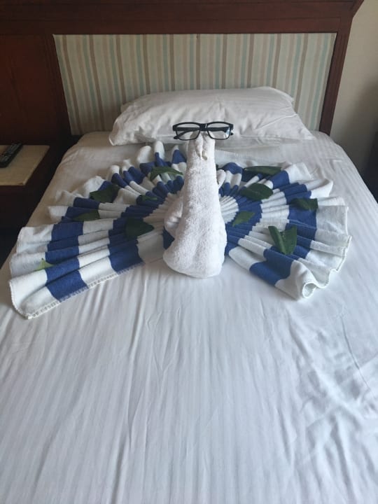 Zimmer Pharaoh Azur Resort