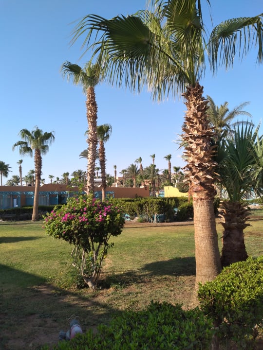 Gartenanlage Giftun Azur Resort