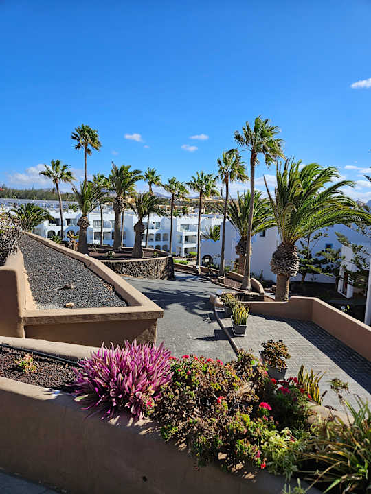 Gartenanlage Sotavento Beach Club