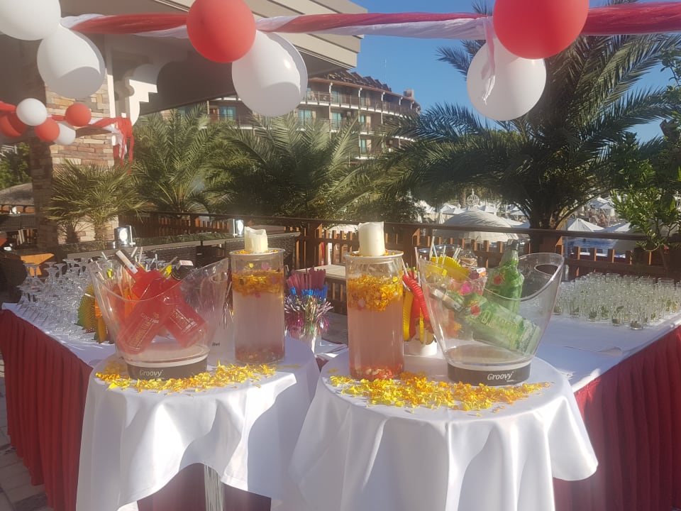 Gastro Quattro Beach Spa & Resort