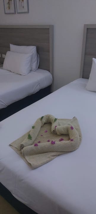 Zimmer Jaz Soma Beach