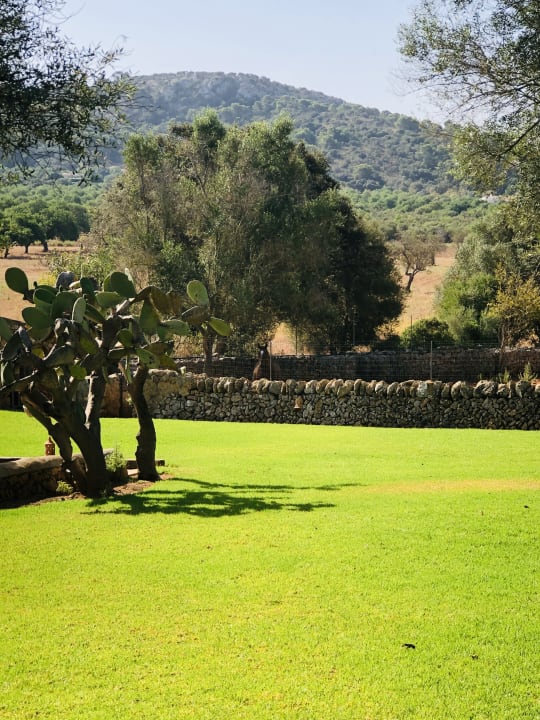 Gartenanlage Hotel Sa Galera