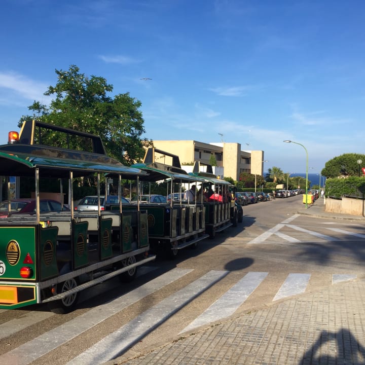 Sonstiges blau punta reina