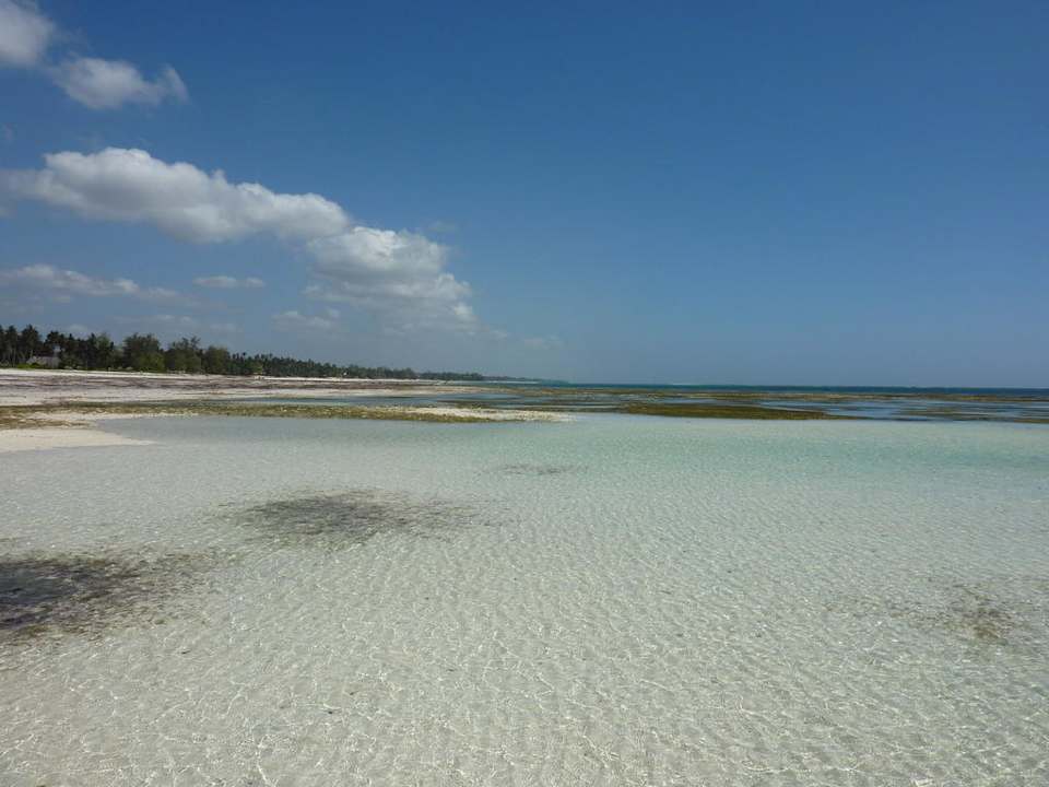 Menschenleerer Strand Hotel Karibuni Rafiki Beach Resort