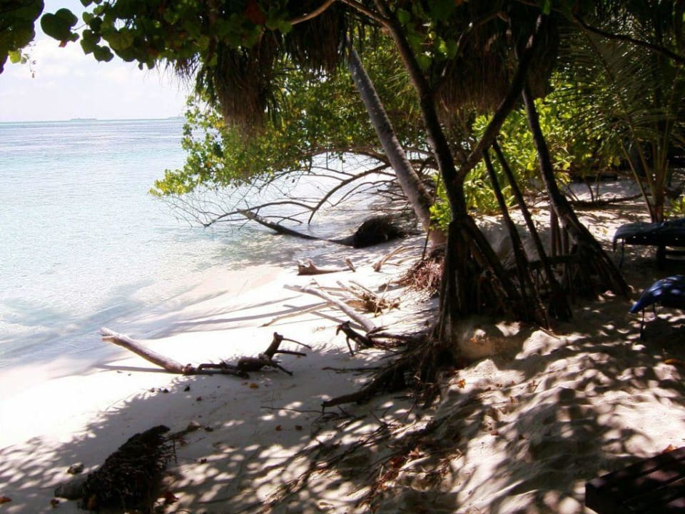 024 Strand nach rechts fotografiert Vilamendhoo Island Resort & Spa