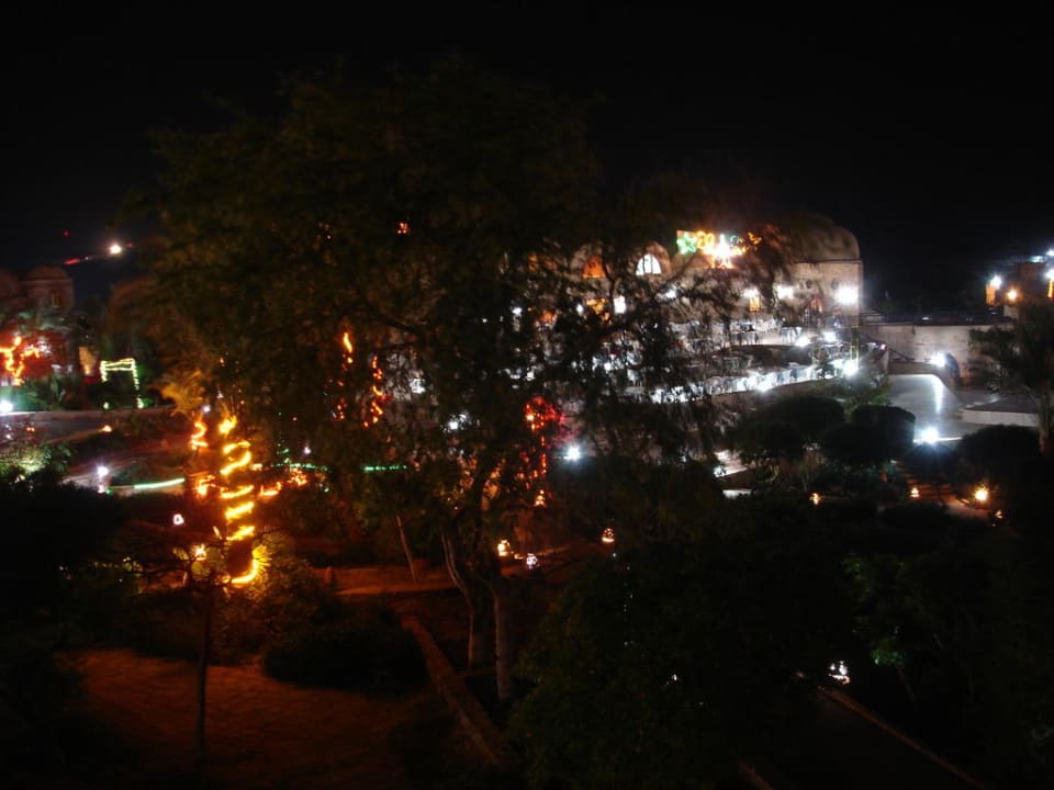 Die Abend-Bar bei Nacht Utopia Beach Club