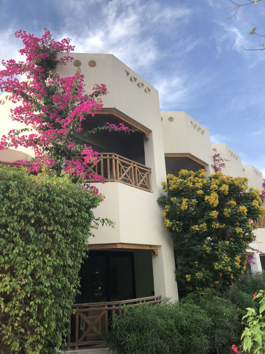 Gartenanlage Ghazala Gardens