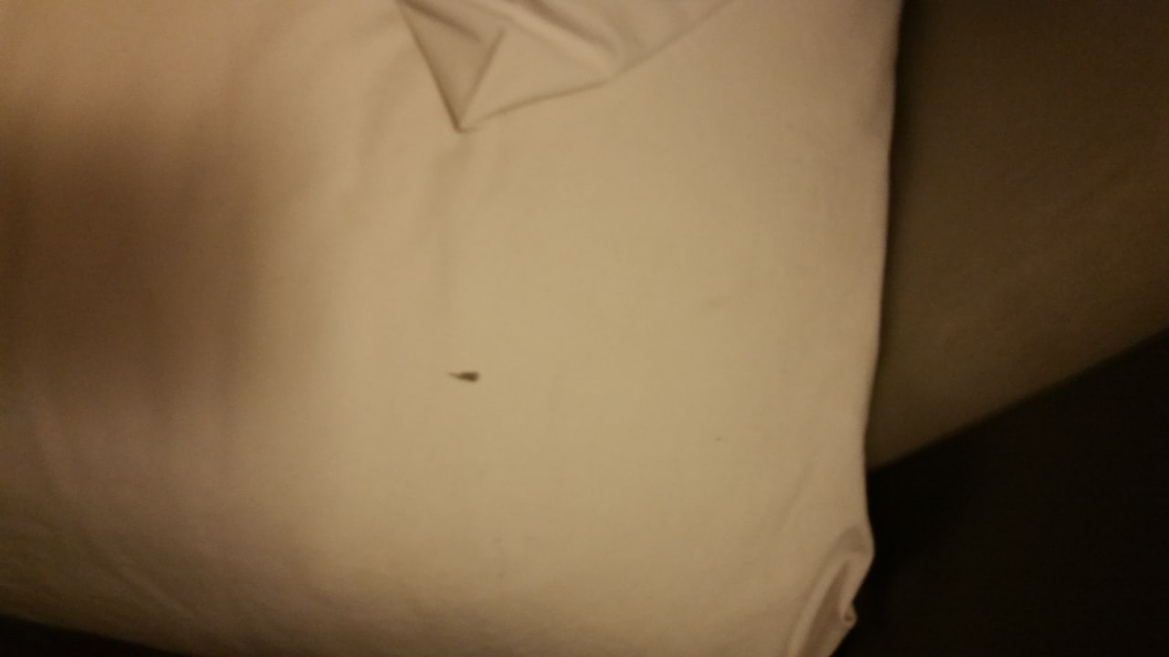 Zimmer Palm Appart Club Marrakech