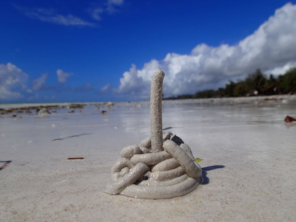 Hotel Baobab Beach Resort Baobab Beach Resort & Spa