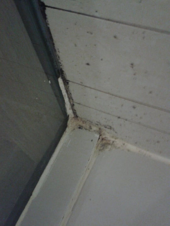 Dusche-Schimmel Dusit Thani Krabi Beach Resort