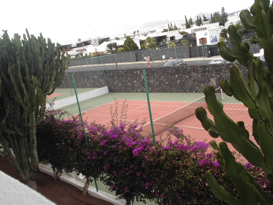 Campi da tennis Relaxia Olivina