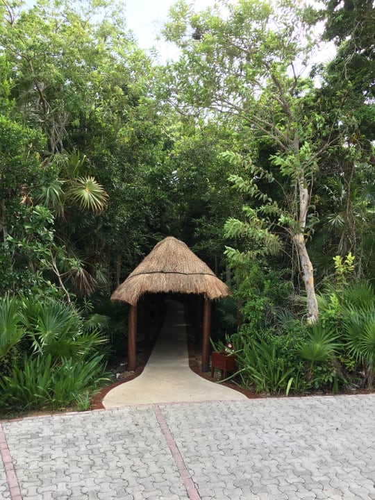 Gartenanlage Grand Palladium Kantenah Resort & Spa