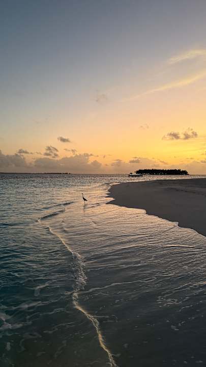 Strand Banyan Tree Vabbinfaru