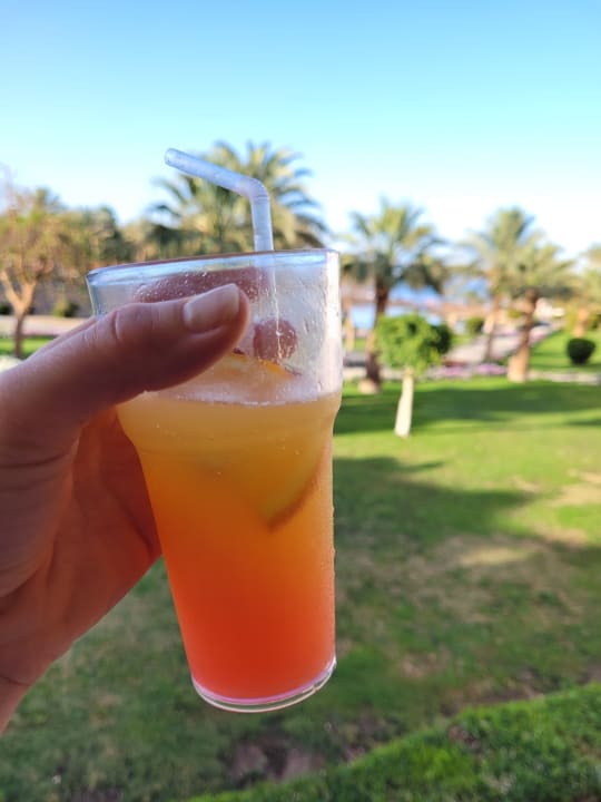 Gastro Brayka Bay Resort