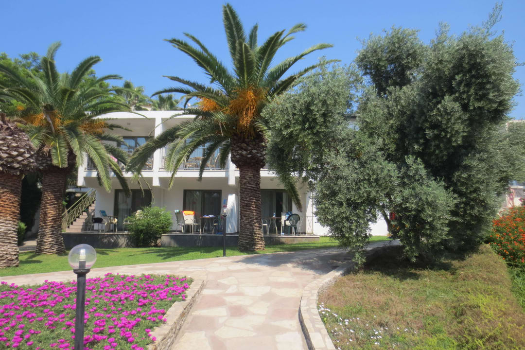 Garten Arum Barut Collection