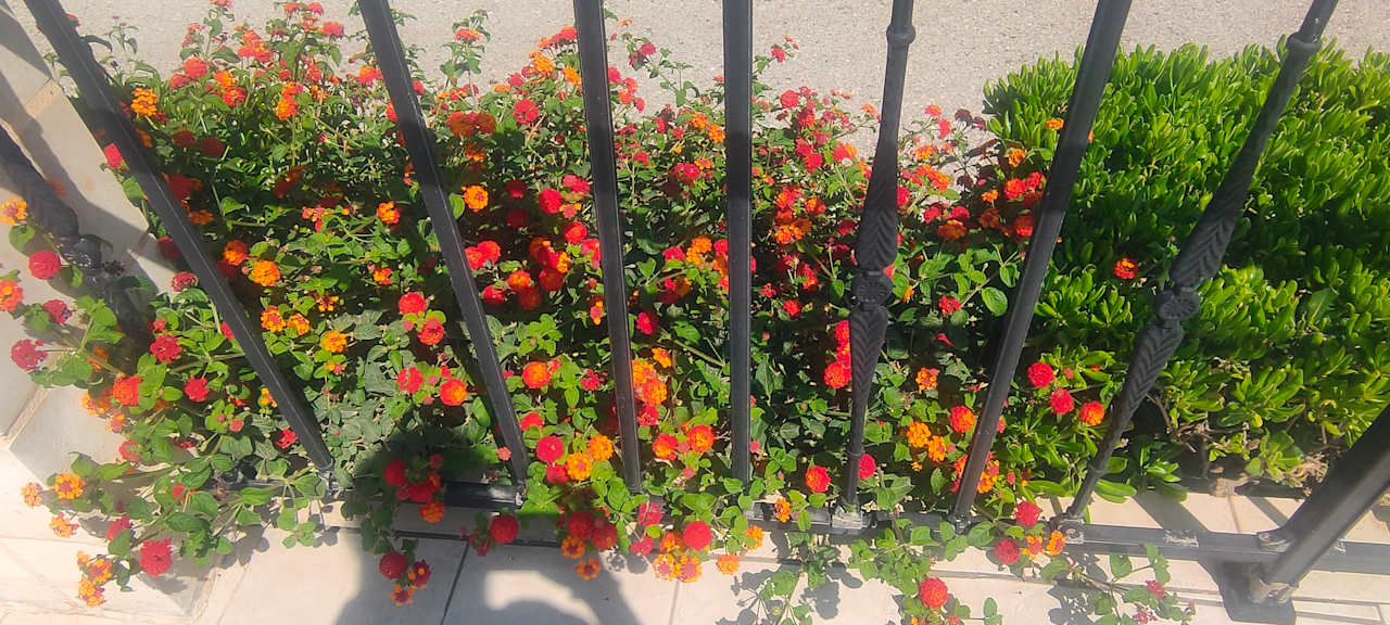 Gartenanlage Mrs Chryssana Beach Hotel