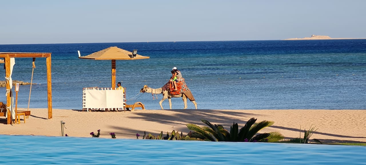 Ausblick Shams Prestige Abu Soma-Adults Only