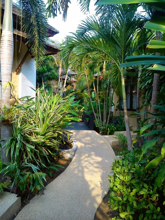 Dschungel im Hotel Rummana Boutique Resort