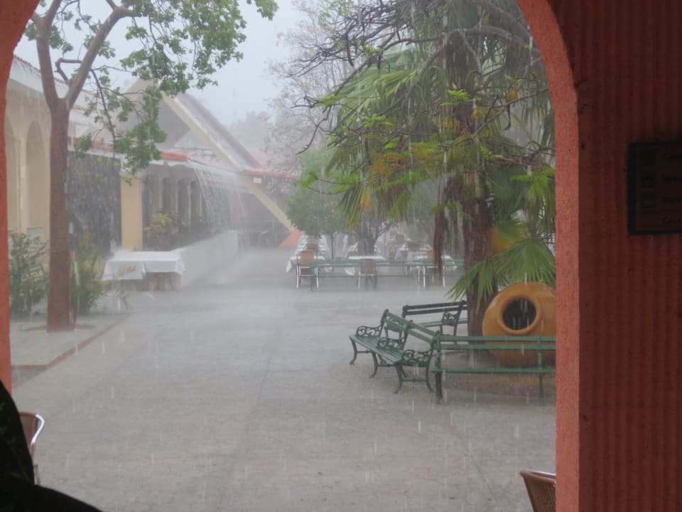 Gartenanlage Hotel Roc Barlovento