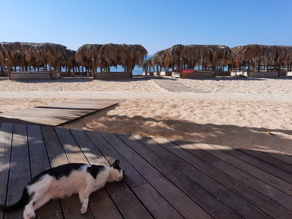 Strand Asterias Beach