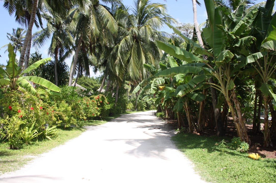 Gartenweg Kuramathi Maldives
