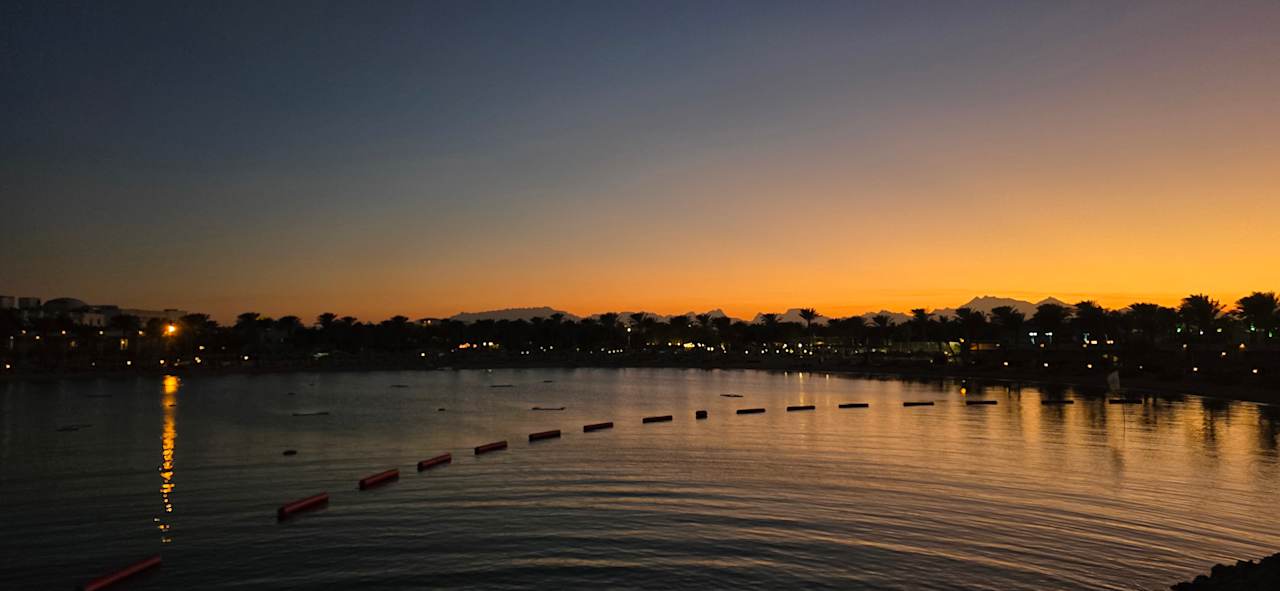 Ausblick Desert Rose