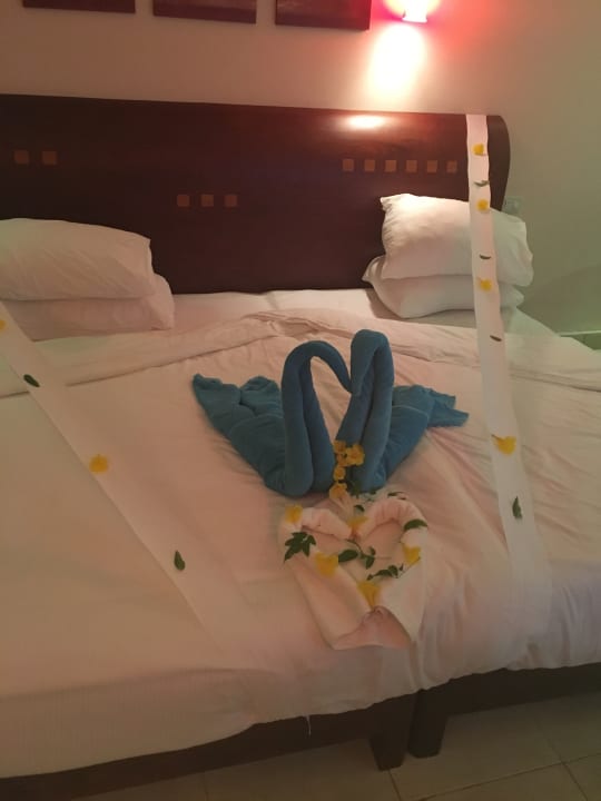 Zimmer Shams Prestige Abu Soma-Adults Only