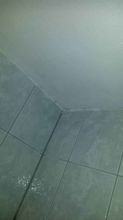 Überstrichener Schimmel in der Ecke Hotel Bergland-Hof