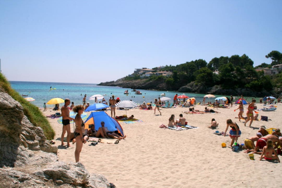 Strandbild Iberostar Waves Pinos Park