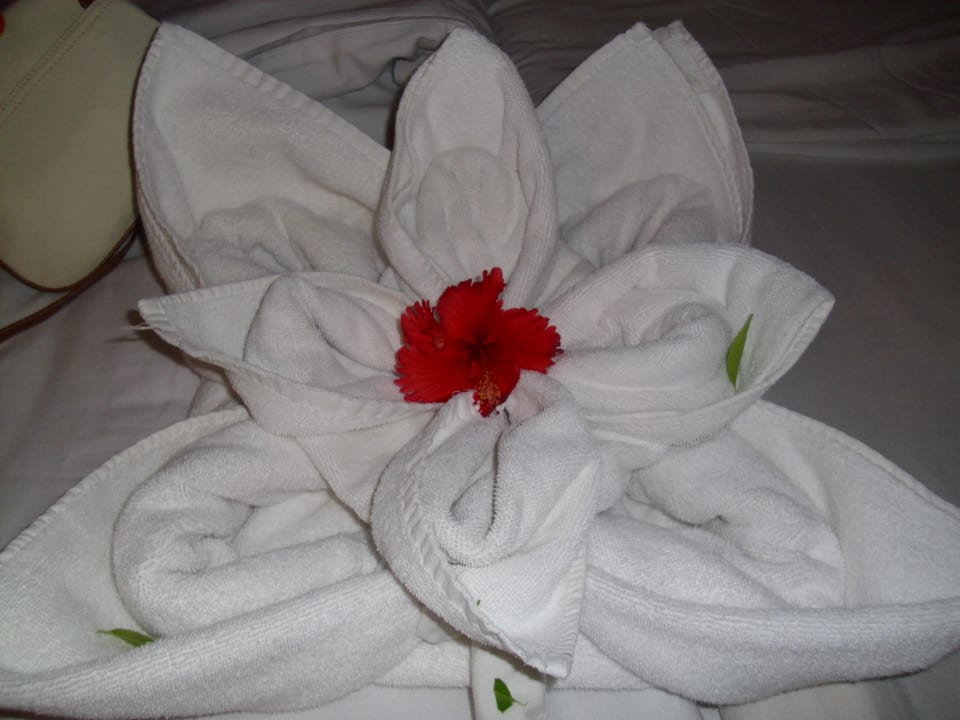 Handtuchkunst Ghazala Beach