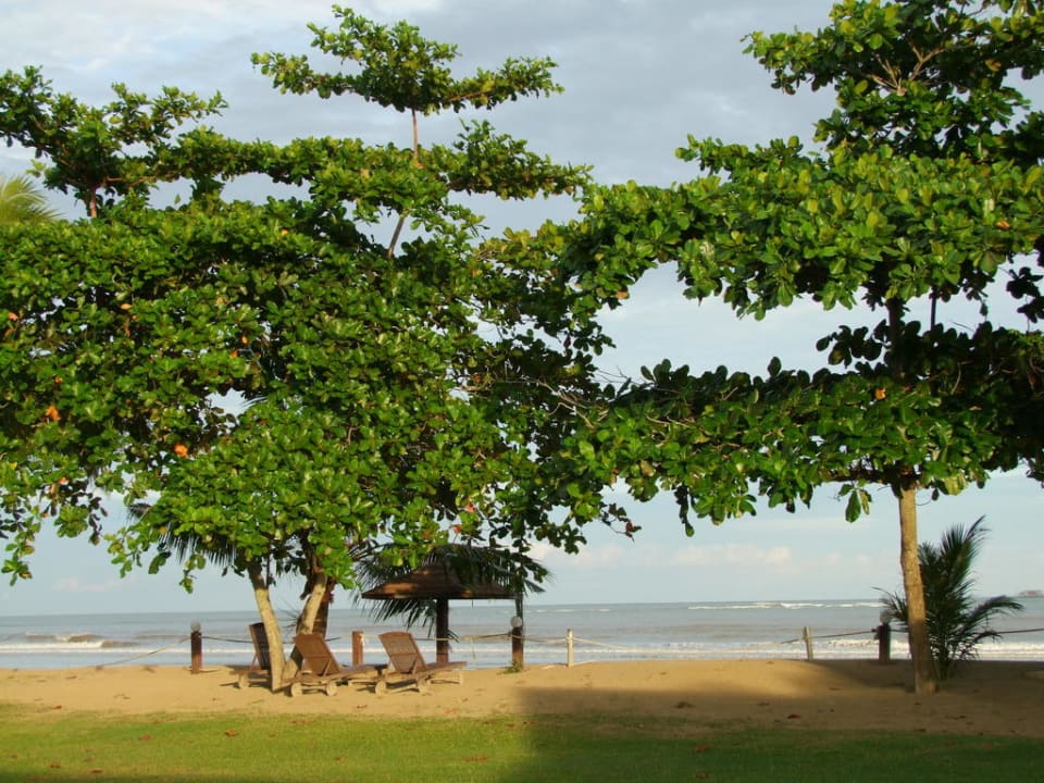 Blick von der Gartenanlage zum Meer Hotel Beringgis Beach Resort
