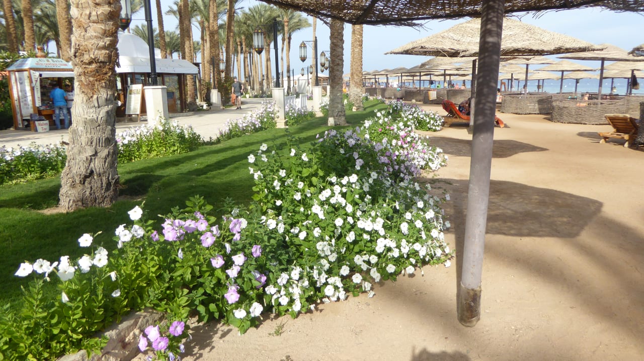 Strand Makadi Palace