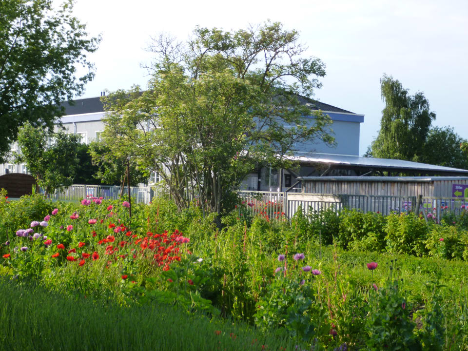 Außenansicht Hotel Lavendelhof & Eselhof Nauen