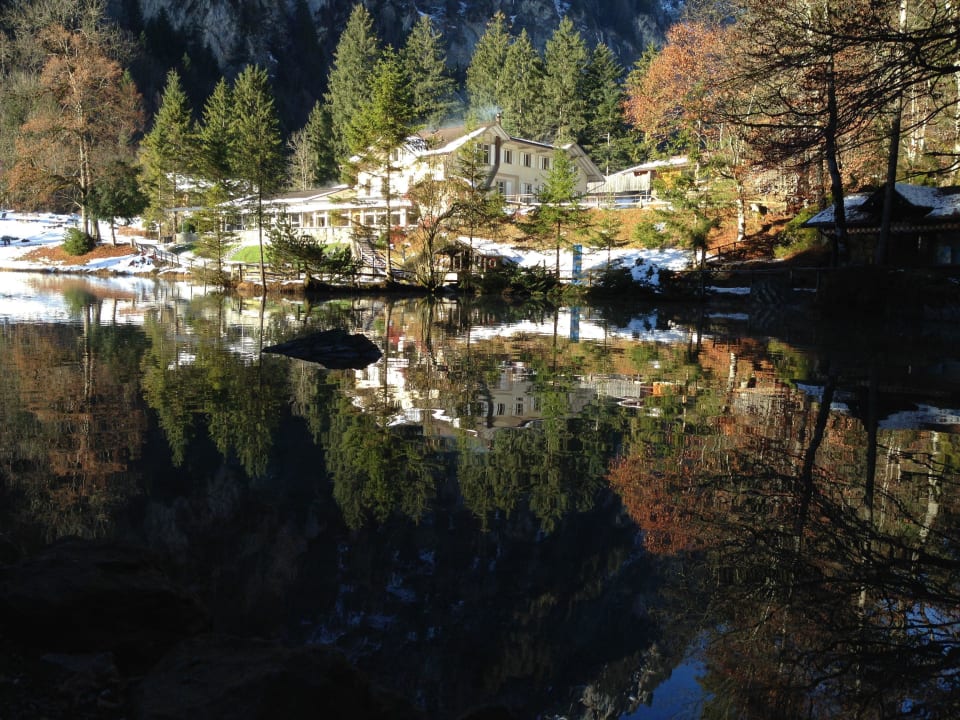 Hotel Hotel & Restaurant Blausee