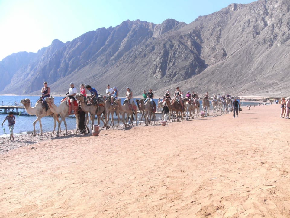 Die Karawane Happy Life Village