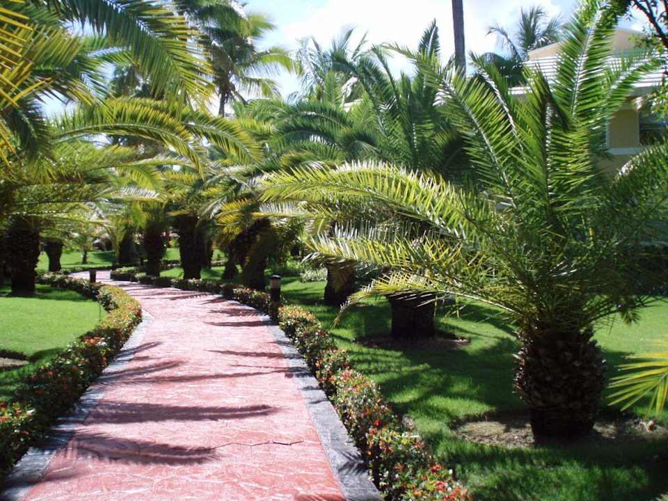 Der Weg Grand Palladium Select Bávaro Resort & Spa