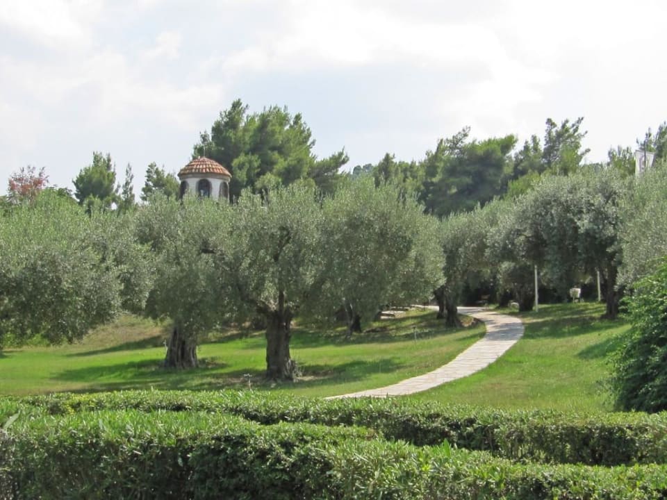 Mediterrane Gartenlandschaft Hotel Athos Palace