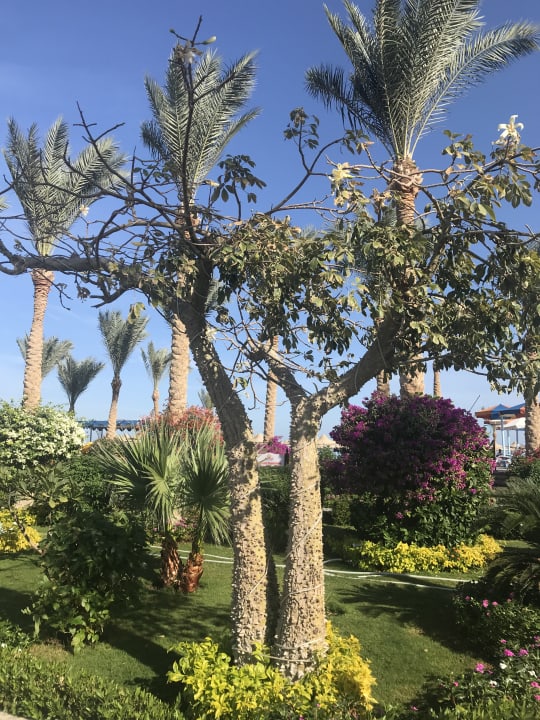 Gartenanlage Riviera Aqua Park Resort