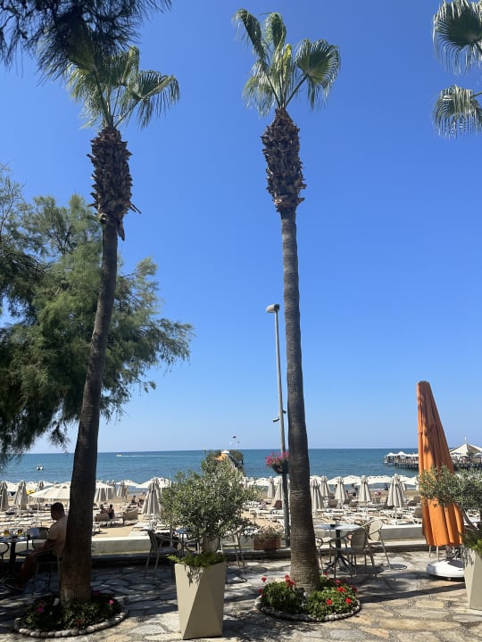Ausblick Arum Barut Collection