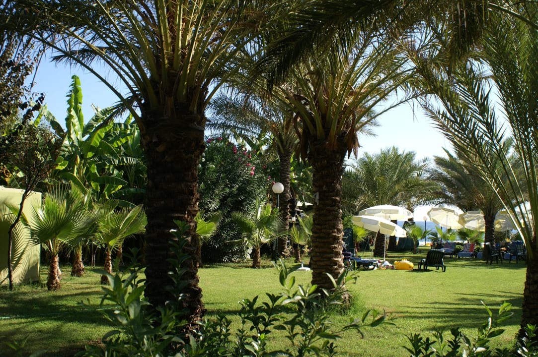 Liegeweisen vor dem Strand Hotel Yetkin