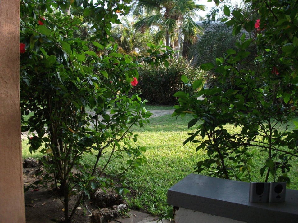 Aussenbereich Bahari Beach Hotel