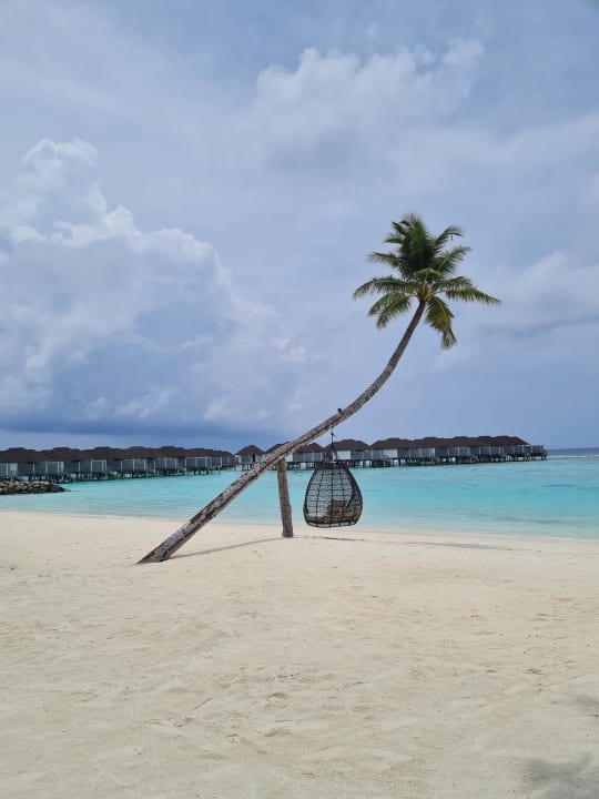 Strand TUI BLUE Olhuveli Romance
