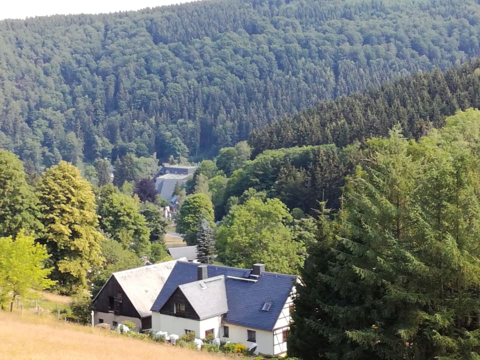 Ausblick Berghotel Talblick