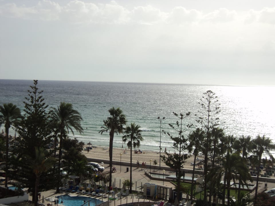 Meeresblick  Hotel Biniamar