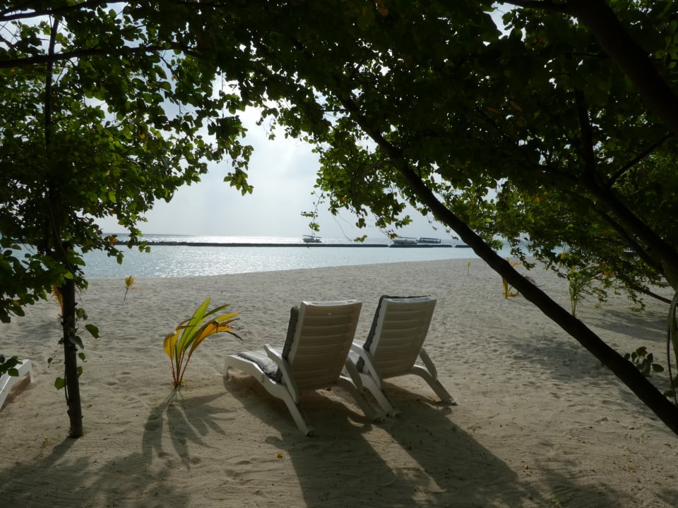 Strand Summer Island Maldives