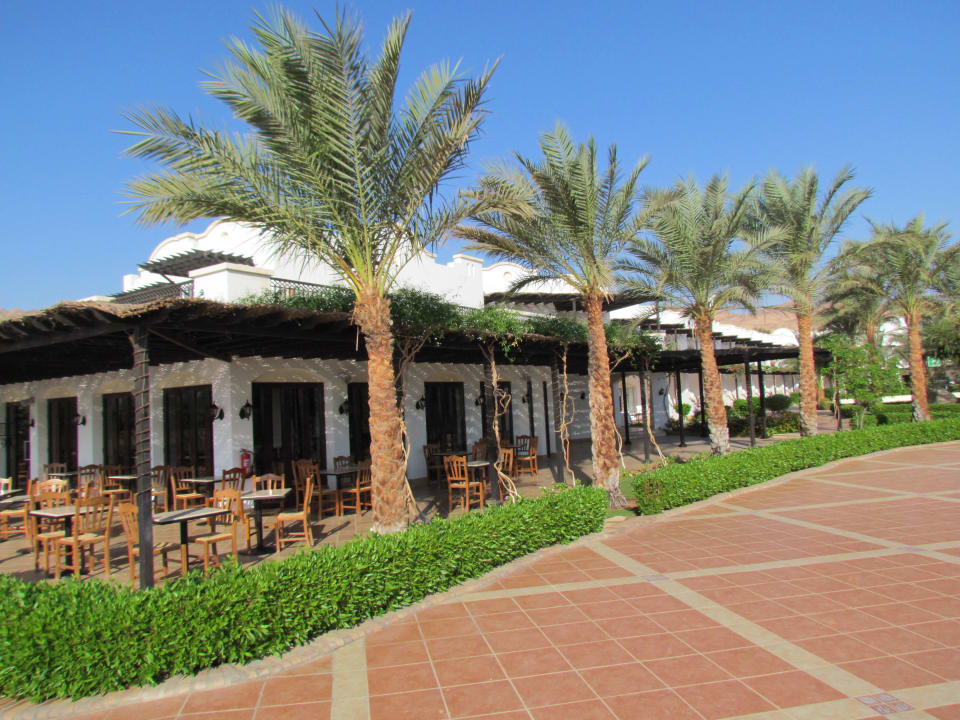 Sea Pearl JAZ Dahabeya