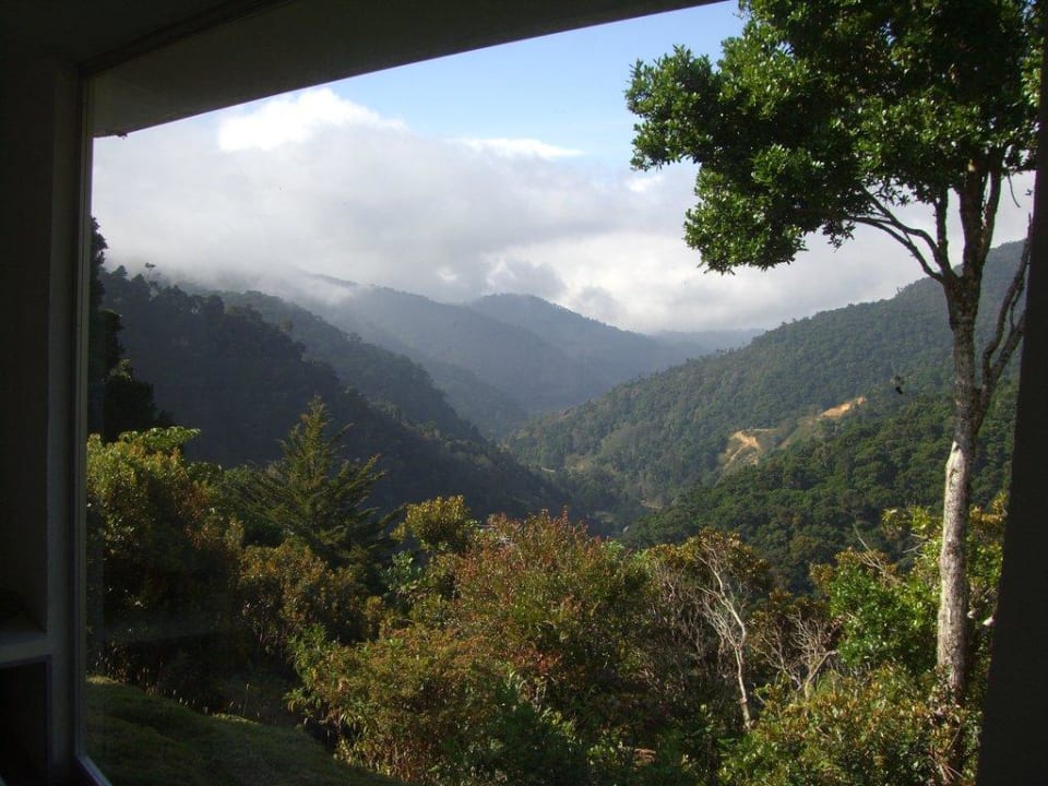 Blick aus dem Wohnzimmer Dantica Cloud Forest Lodge